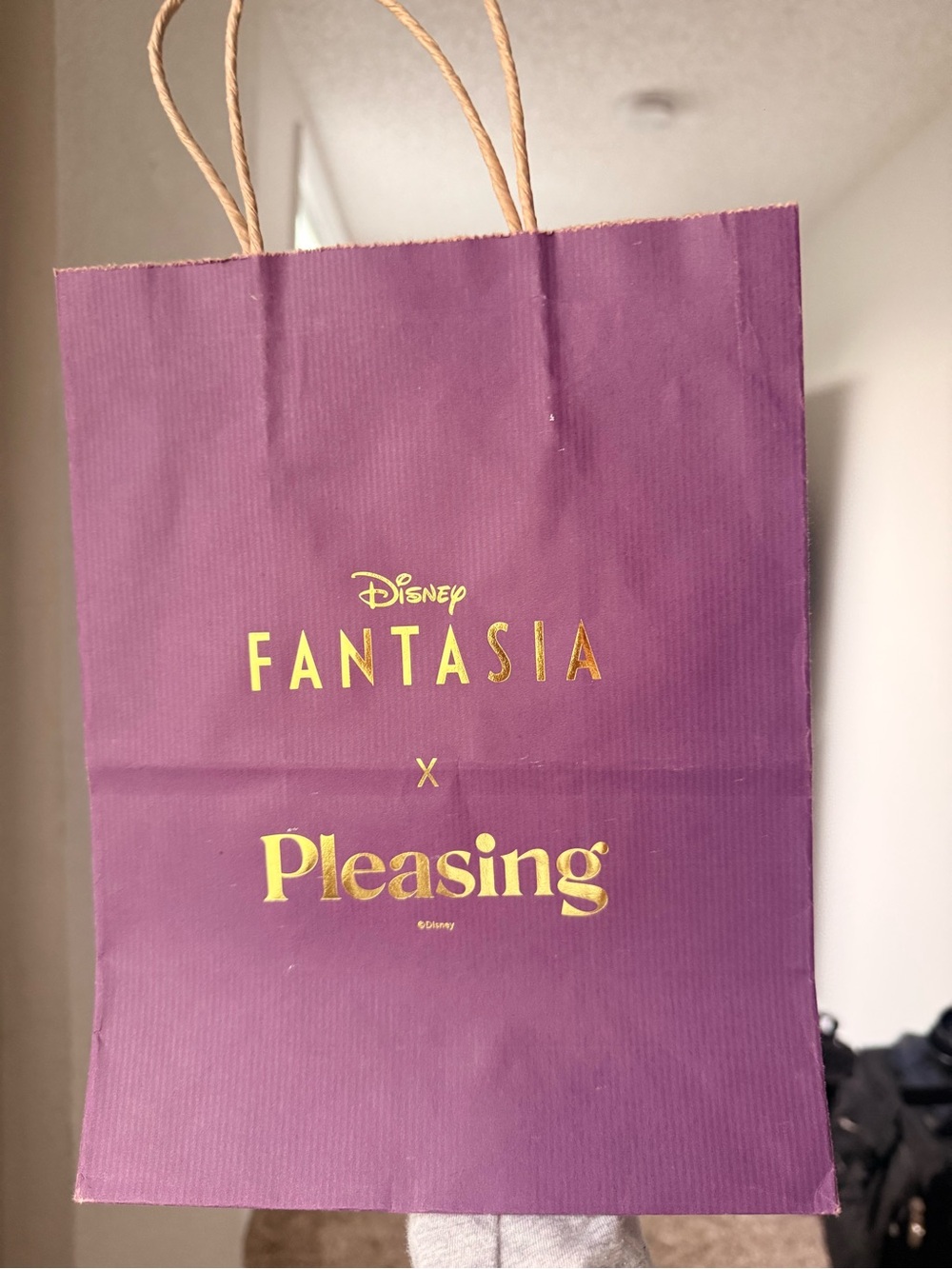 Disney Fantasia x Pleasing Purple Paper Bag